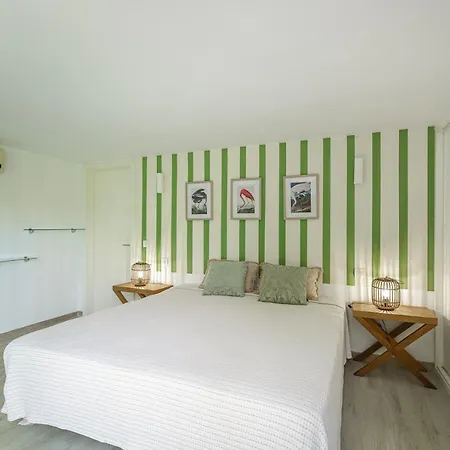 For Rent In Marbella * Estepona